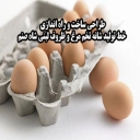 ظروف لبنی شاه صنم، طراحی ساخت و راه اندازی خط تولید شانه تخم مرغ در کرج