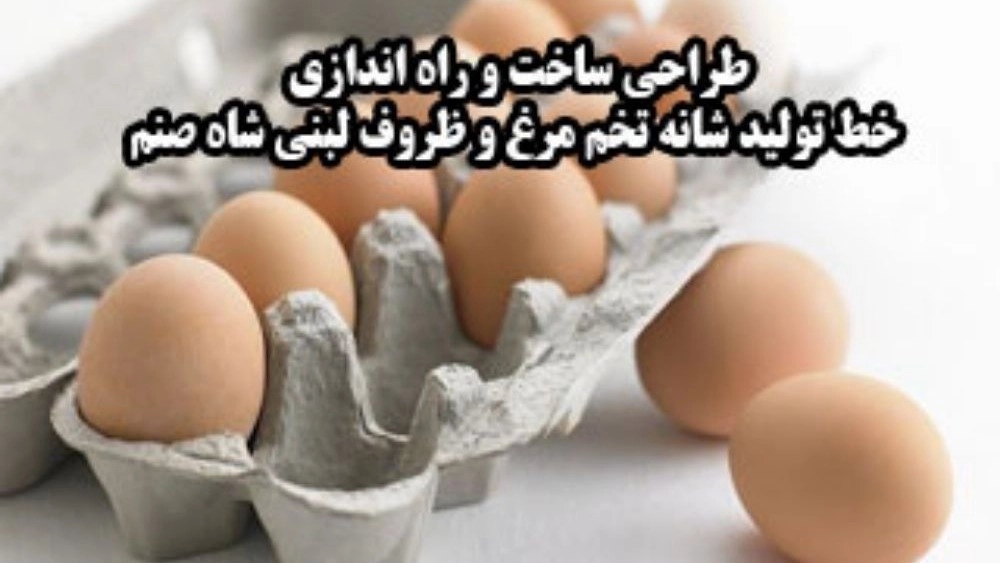 ظروف لبنی شاه صنم، طراحی ساخت و راه اندازی خط تولید شانه تخم مرغ در کرج