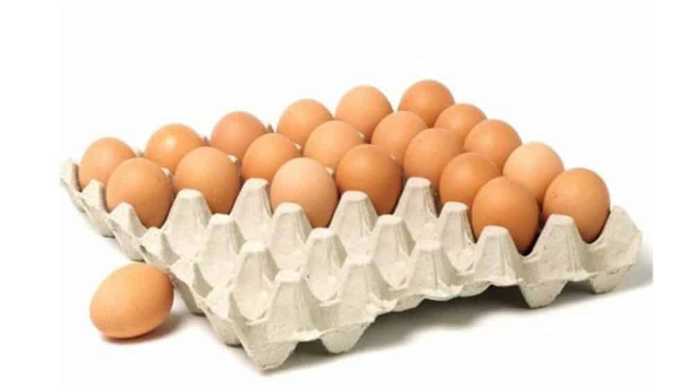 ظرف بسته بندی تخم مرغ