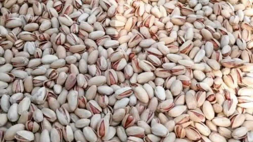 دستگاه نمگیر پسته