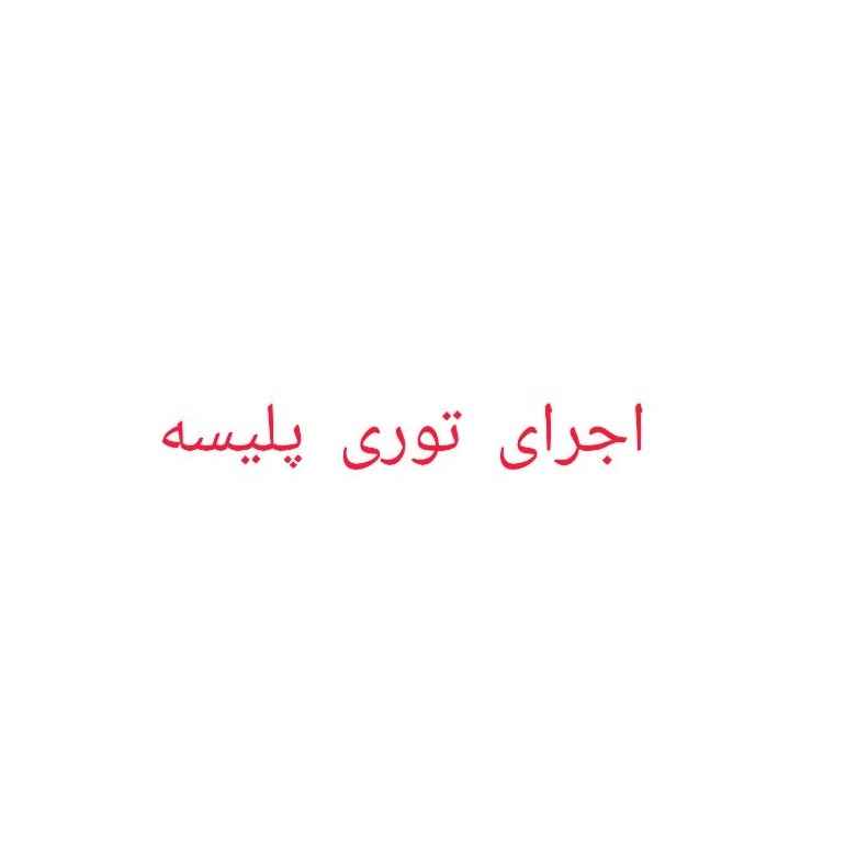 توری پلیسه