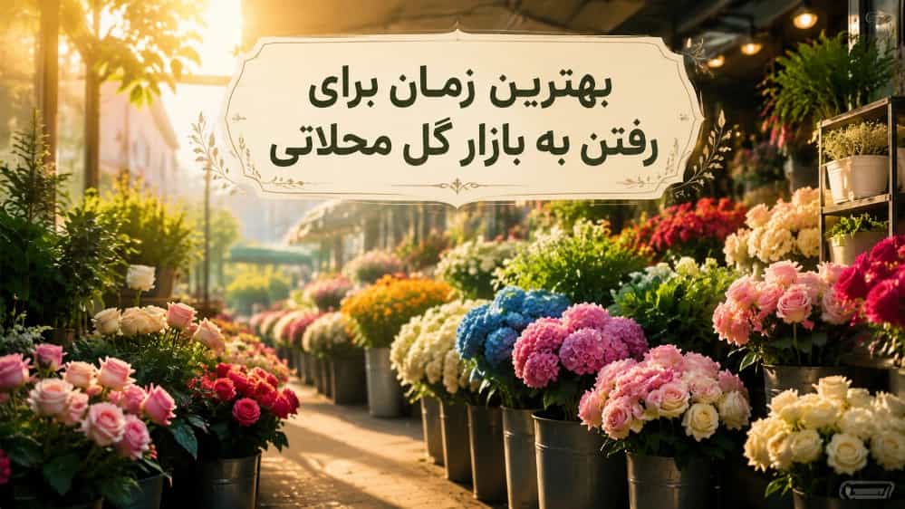بهترین زمان برای رفتن به بازار گل محلاتی بهترین زمان برای رفتن به بازار گل محلاتی