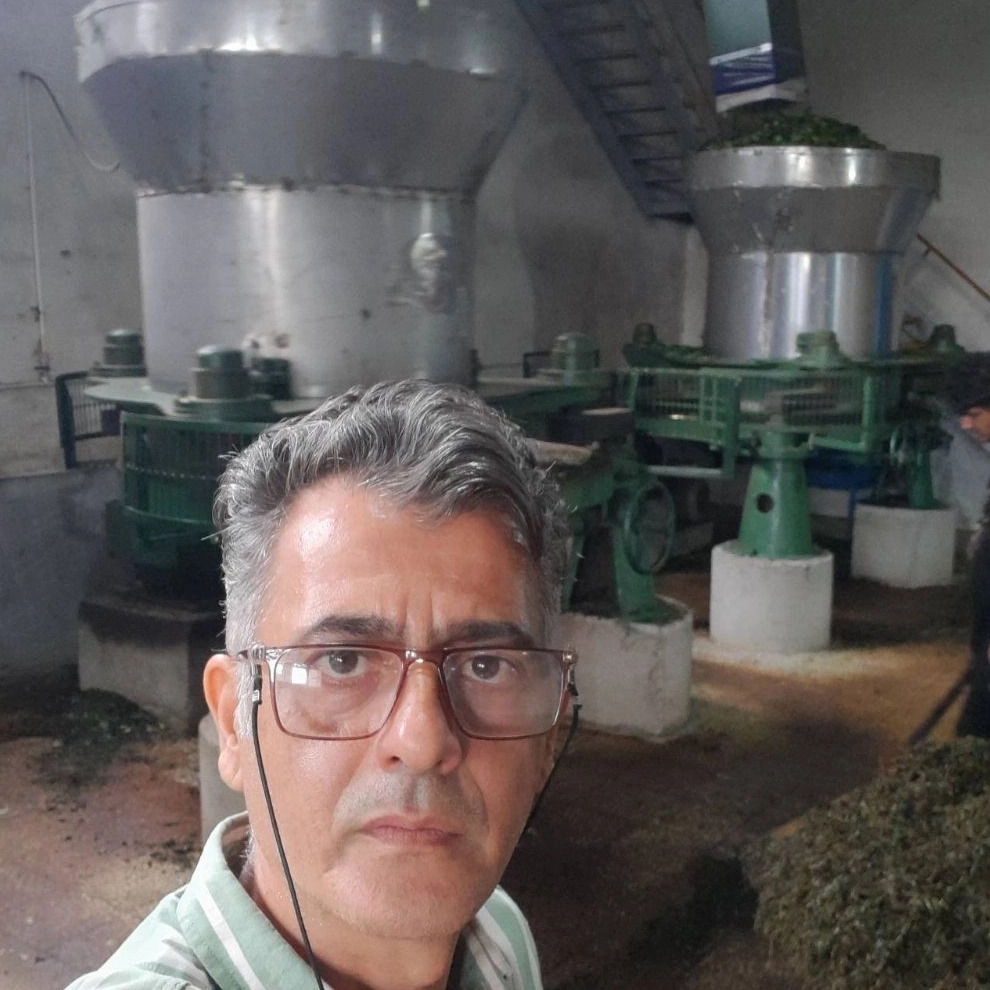 مالش خانه کارخانه چای مالش خانه کارخانه چای