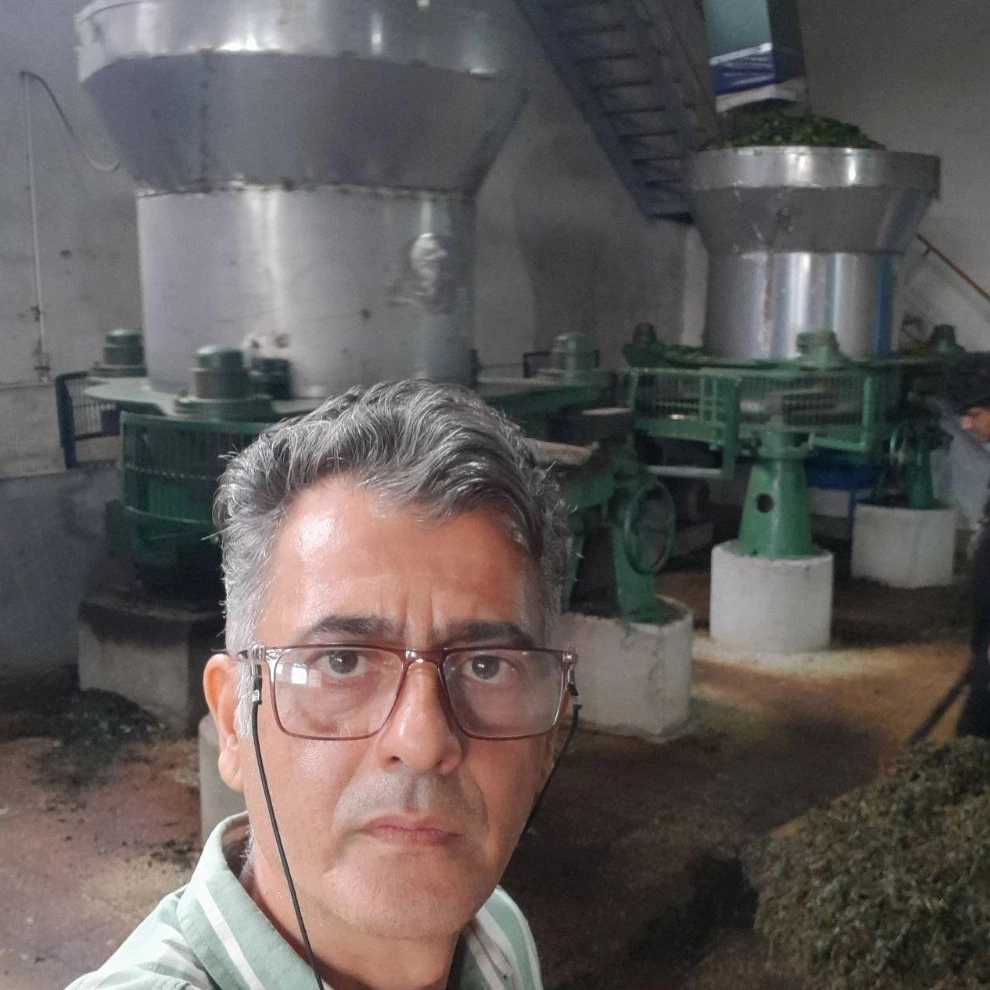 مالش خانه کارخانه چای