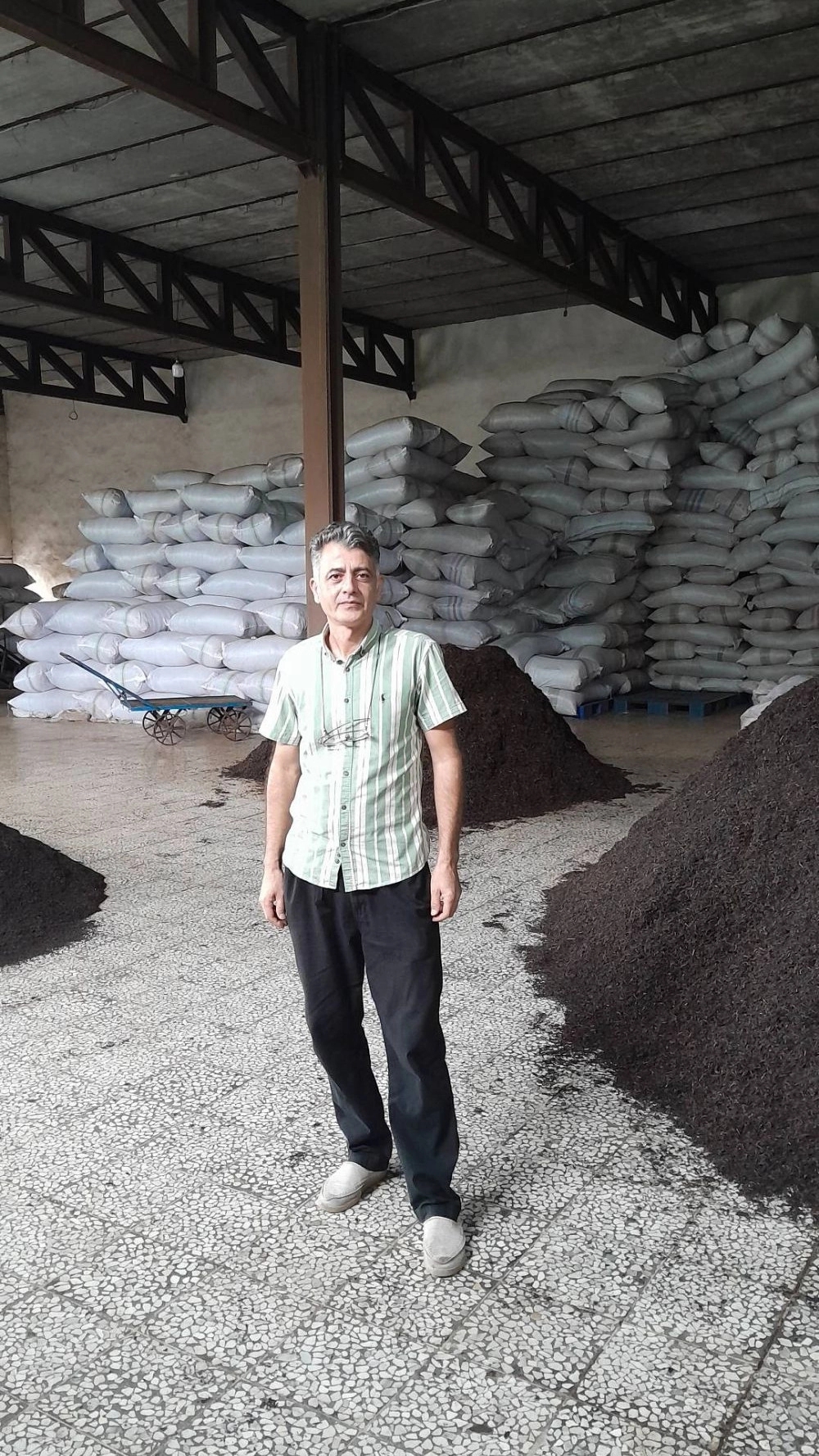 بازرگانی چای جمال
