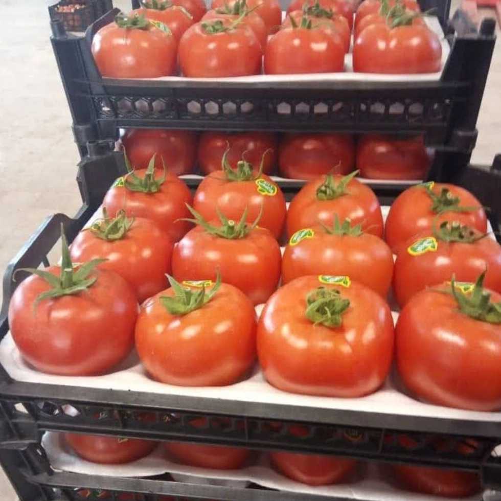 سبدسازی برای صیفی جات
