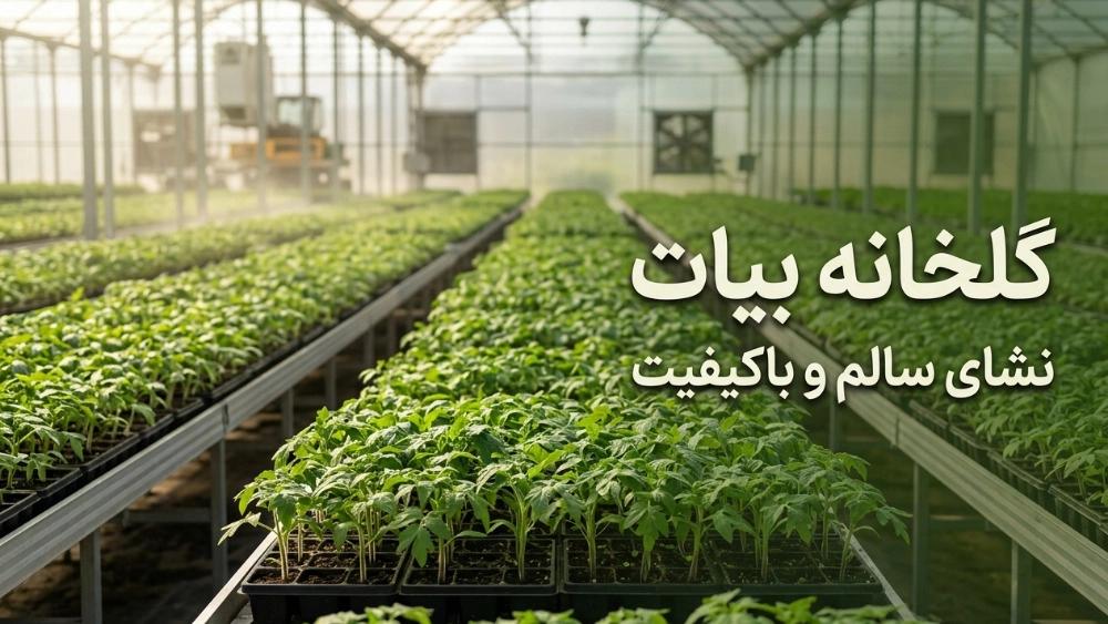 ۷ ویژگی نشای سالم و باکیفیت که پیش از خرید باید بدانید