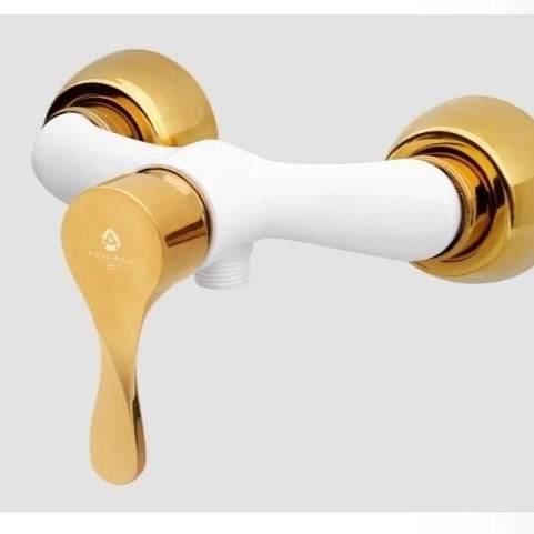 1683713928145.webp