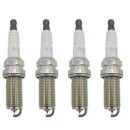 1691657062262.webp