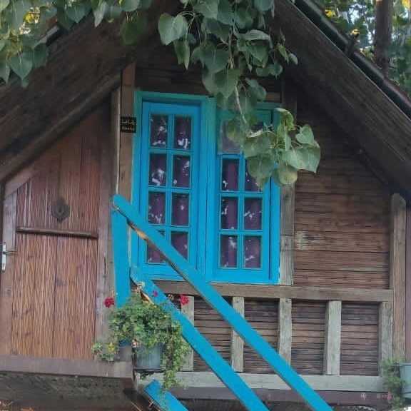 1694252049434.webp