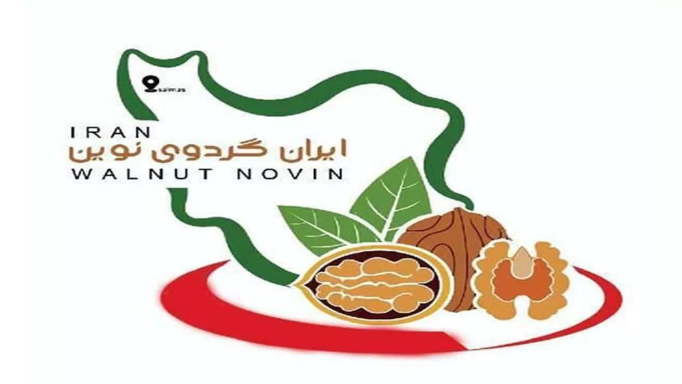 نهالستان ایران گردو نوین در آذربایجان غربی