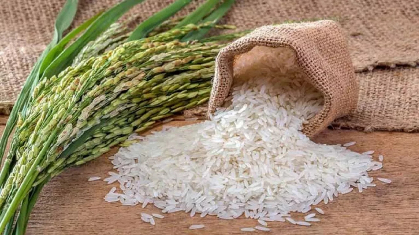 مشخصات برنج مرغوب