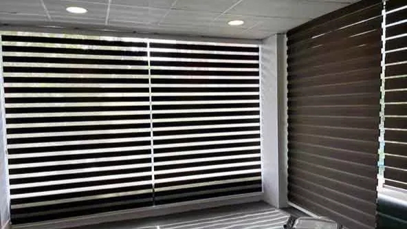 پرده زبرا و دلیل تفاوت آن با زبرا دومکانیزم