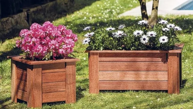 آیا گلدان چوبی برای گیاهان مناسب است؟