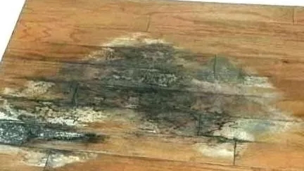 اصول کار با چوب و مقطع چوب