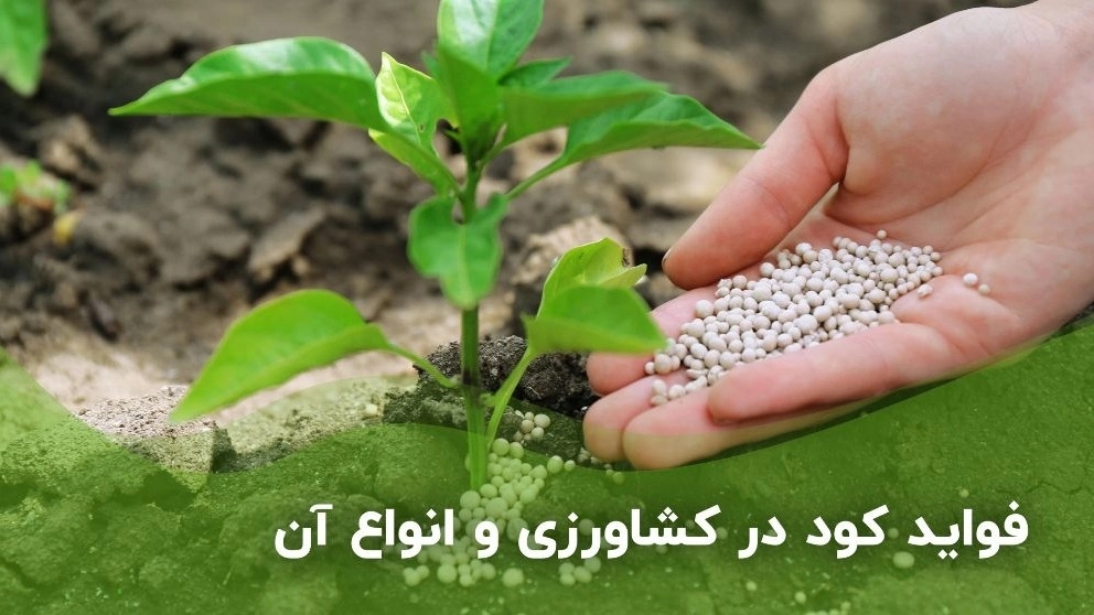 فواید کود در کشاورزی و انواع آن