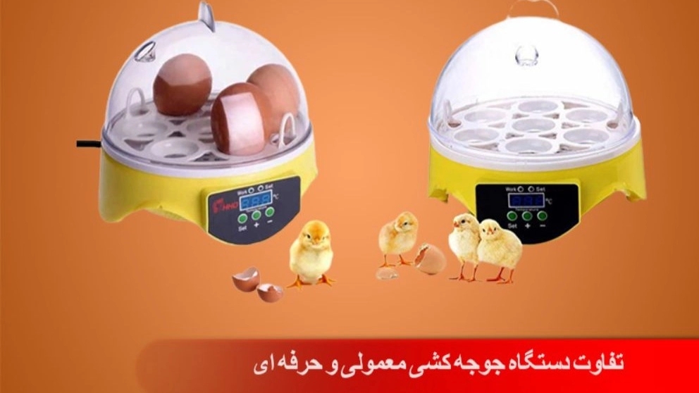 تفاوت دستگاه جوجه کشی معمولی و حرفه ای