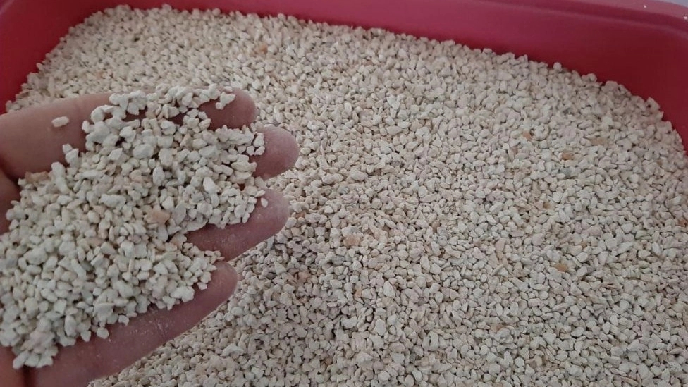 راهنمای خرید خاک گربه