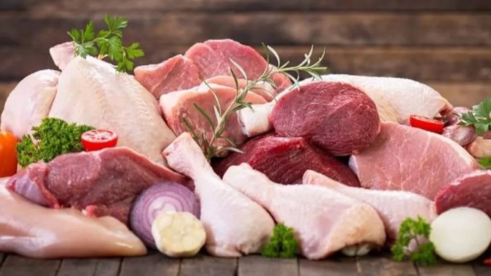 چرا پروتئین از اهمیت بالایی برخوردار است؟