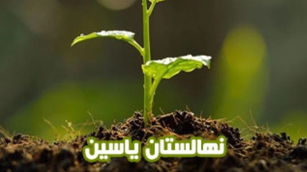 نهالستان یاسین در دماوند