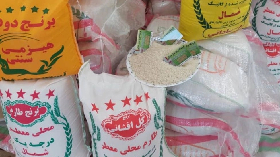 فروش برنج گل افشانی در قائمشهر مازندران