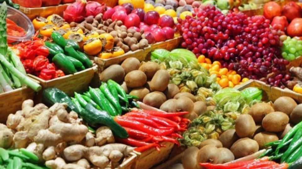 صادرات میوه و تره بار بازرگانی وکیلی در خراسان رضوی