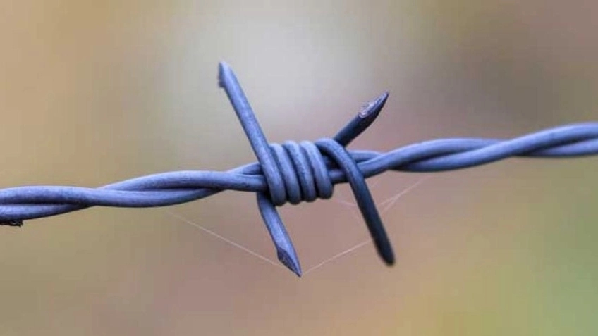 سیم خاردار خطی چیست و چه فرقی با سیم خاردار حلقوی دارد؟