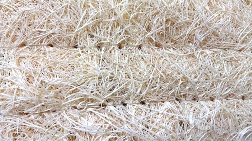 عمر مفید پوشال کولر آبی