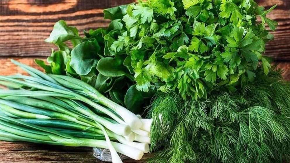 روش نگهداری سبزی خوردن