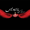 مجتمع اره تیز کنی پرسپولیس در کرج