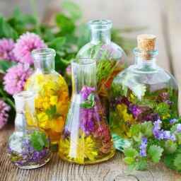 خرید و فروش انواع عرقیات شیره انگور باسلوق و شیرینی مطلبی در تهران