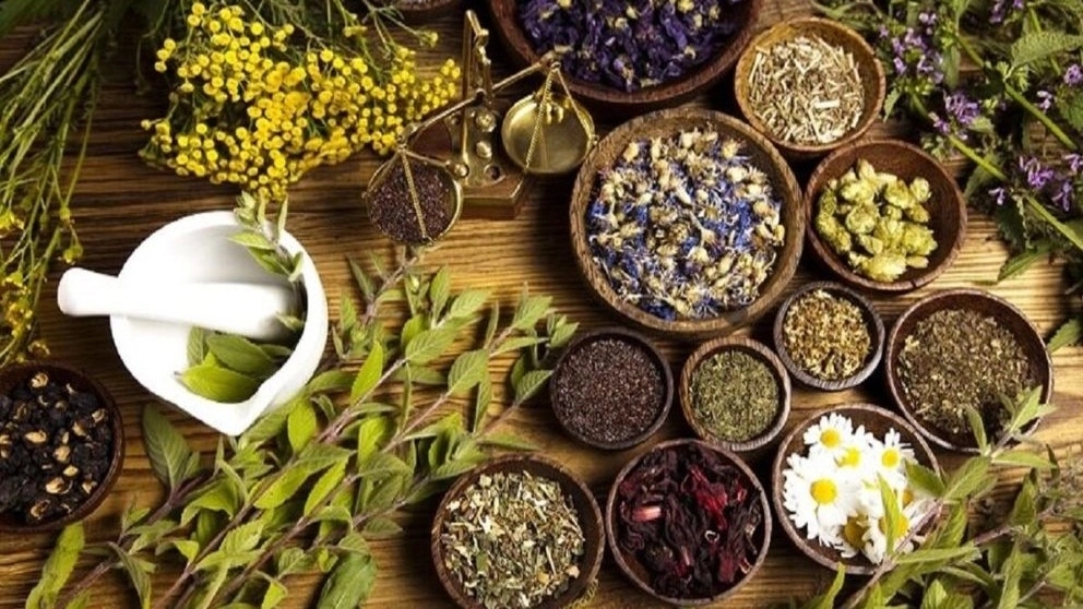 چکیده مقاله نقش گیاهان دارویی و طب سنتی در توسعه صنعت توریسم