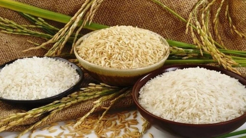 برنج و چای برادران هاشمی، فروش برنج و چای در گیلان