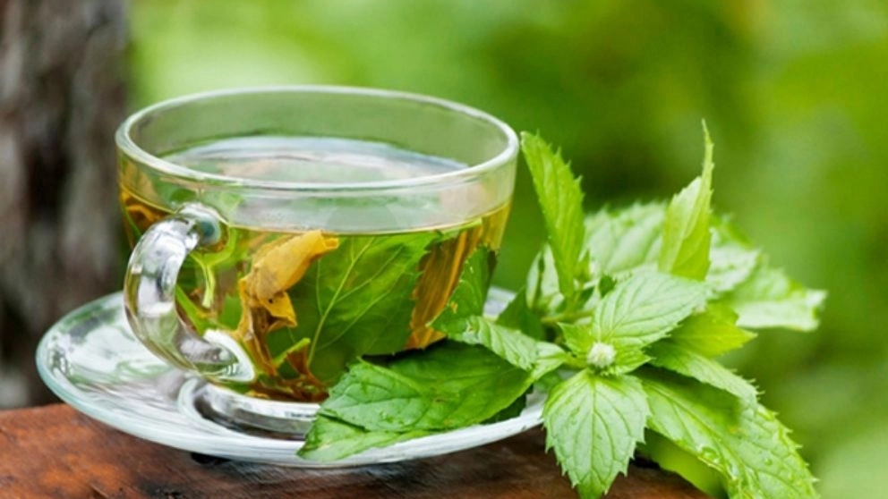 معرفی انواع چای