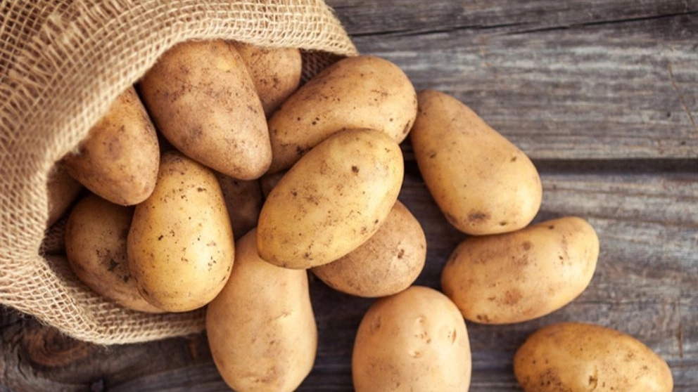 محبوب ترین صیفی جات دنیا