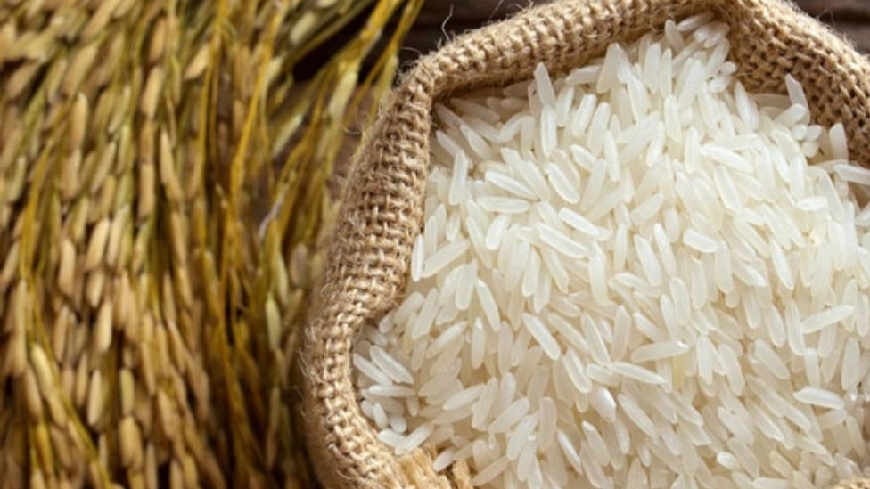 انواع برنج هاشمی