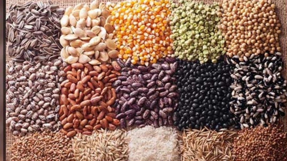 شناخت بذر و خصوصیات و انواع آن