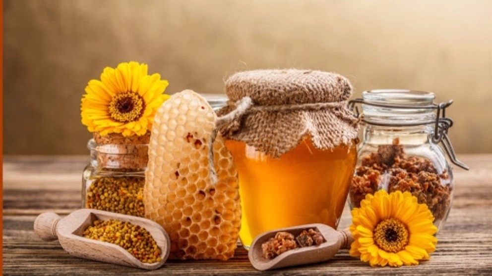 تهیه عسل طبیعی در خراسان رضوی