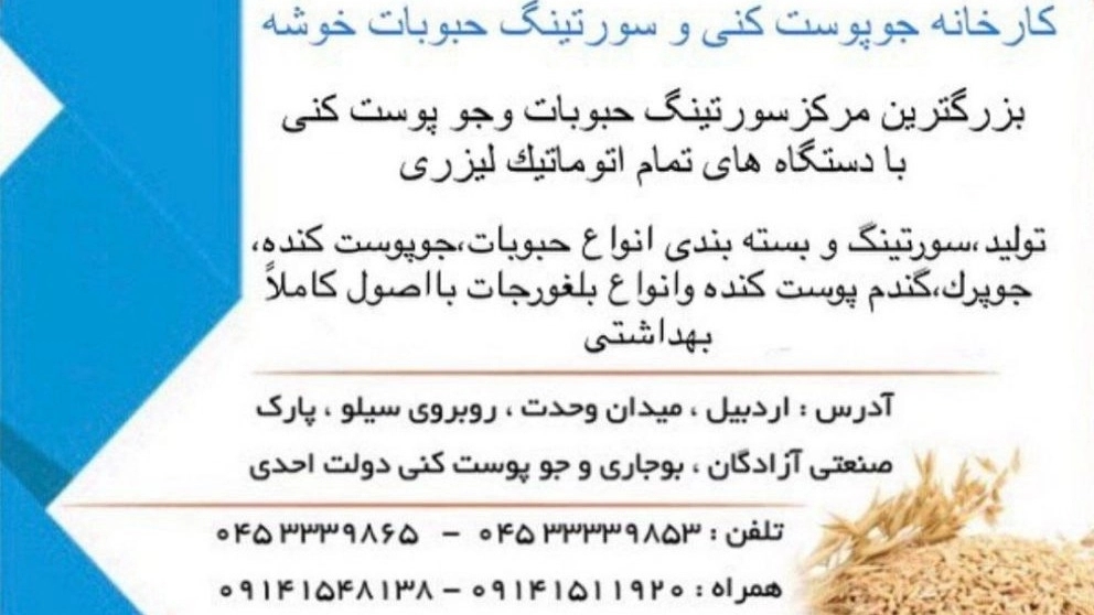 کارخانه خوشه، تولید و بسته بندی جو پوست کنده و سورتینگ حبوبات در اردبیل