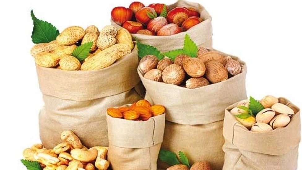 خشکبارکردستان،تولیدوفروش انواع آجیل وخشکباردر گیلان