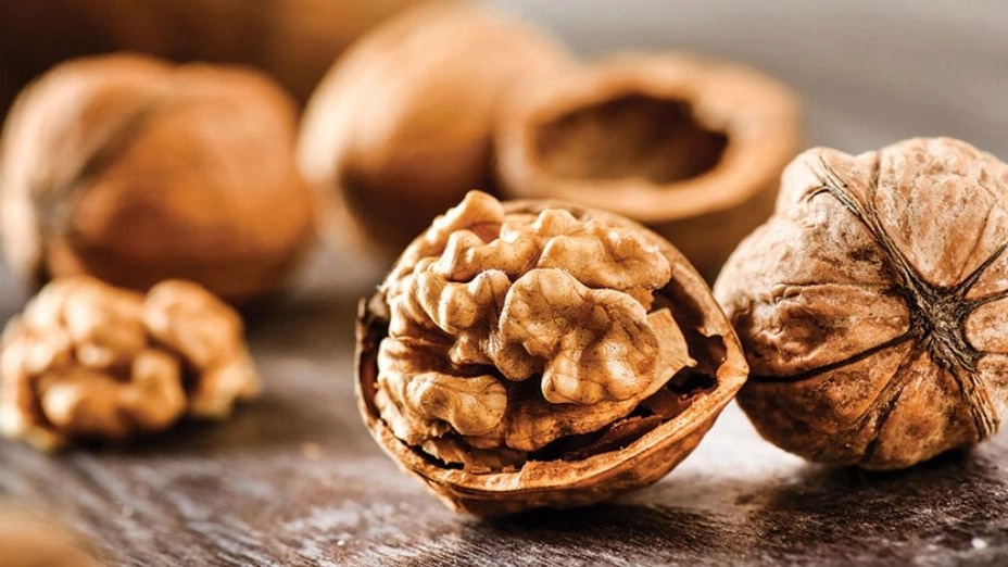 ۸ خاصیت شگفت انگیز گردو برای مغز