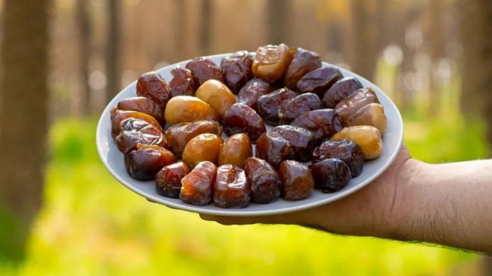 خرما پناهی، فروشگاه تخصصی کبکاب در بهبهان