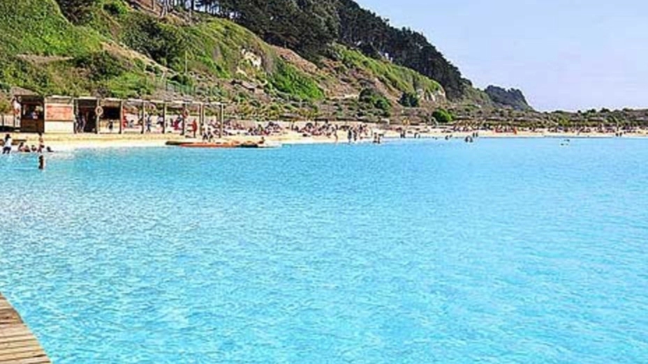 انواع استخرهای شنا