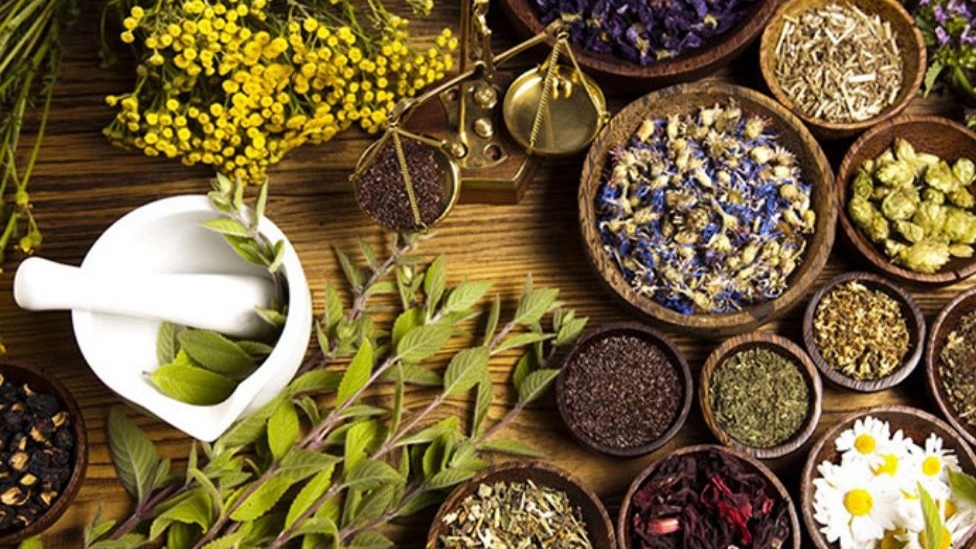 گیاه دارویی صبوری، فروش عمده گیاهان دارویی در تهران