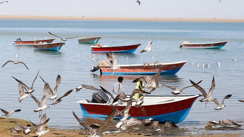 انواع کشتی های تفریحی