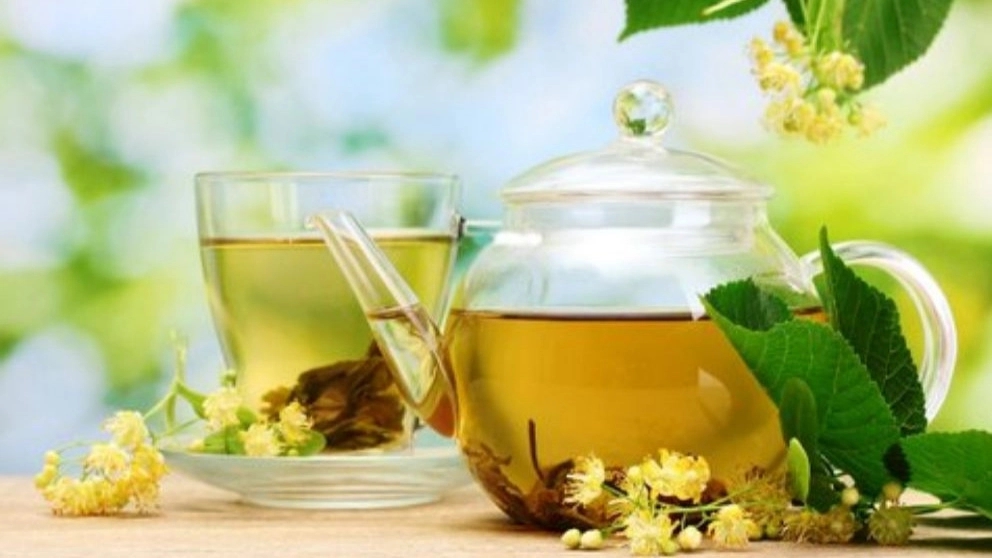 گل دارو نصر، فروش عمده و صادرات دمنوش و گیاهان دارویی در خراسان رضوی