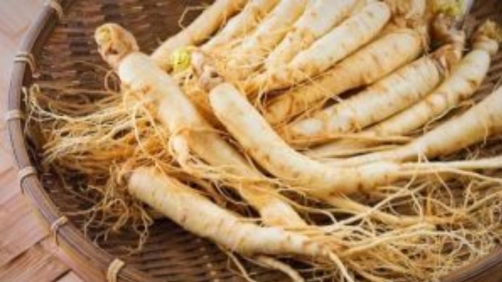 گیاهان دارویی پرکاربرد را بشناسید