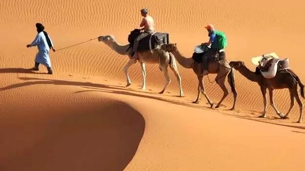 تور و کمپ کویر نوردی و بوم گردی سندباد در یزد