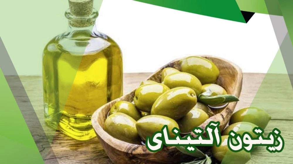 زیتون آلتینای ، سیر ترشی و زیتون در مازندران