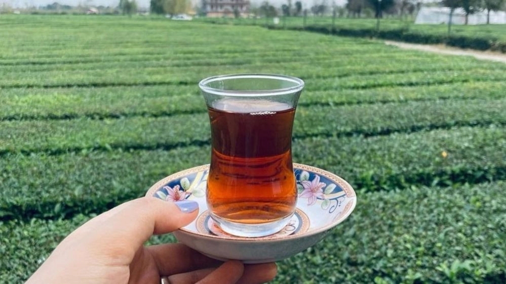 سوغات گیلان چیست؟